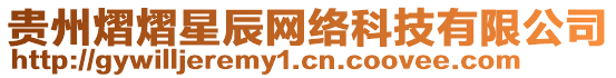 貴州熠熠星辰網(wǎng)絡(luò)科技有限公司