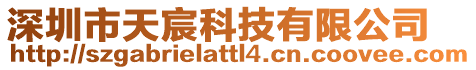 深圳市天宸科技有限公司