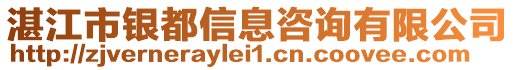 湛江市銀都信息咨詢有限公司