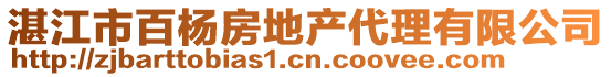 湛江市百楊房地產(chǎn)代理有限公司