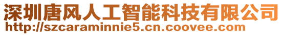 深圳唐風(fēng)人工智能科技有限公司