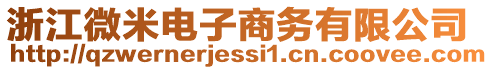 浙江微米電子商務(wù)有限公司