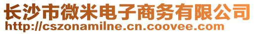 長沙市微米電子商務有限公司