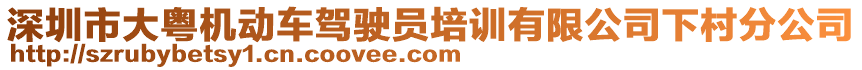 深圳市大粵機動車駕駛員培訓有限公司下村分公司