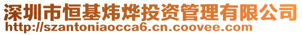 深圳市恒基煒燁投資管理有限公司