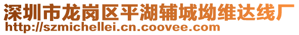 深圳市龍崗區(qū)平湖輔城坳維達(dá)線廠