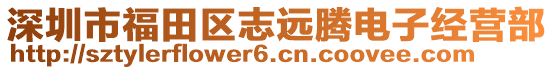 深圳市福田區(qū)志遠騰電子經(jīng)營部