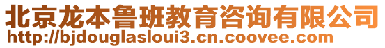 北京龍本魯班教育咨詢有限公司