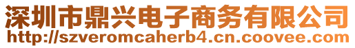 深圳市鼎興電子商務(wù)有限公司