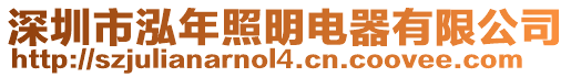 深圳市泓年照明電器有限公司