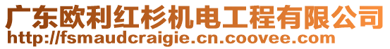 廣東歐利紅杉機(jī)電工程有限公司