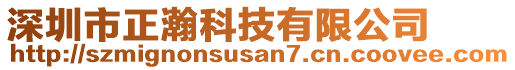 深圳市正瀚科技有限公司