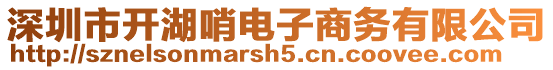 深圳市開湖哨電子商務有限公司