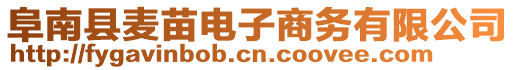 阜南縣麥苗電子商務有限公司