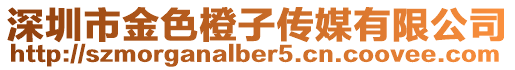深圳市金色橙子傳媒有限公司