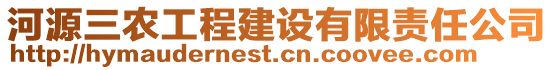 河源三農(nóng)工程建設(shè)有限責(zé)任公司