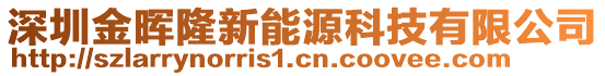 深圳金暉隆新能源科技有限公司