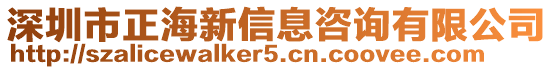 深圳市正海新信息咨詢有限公司