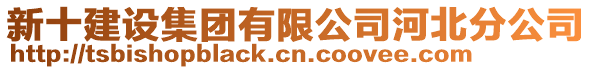 新十建設(shè)集團(tuán)有限公司河北分公司