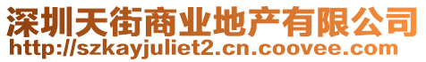 深圳天街商業地產有限公司