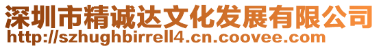 深圳市精誠達文化發展有限公司