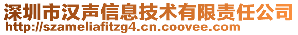 深圳市漢聲信息技術有限責任公司