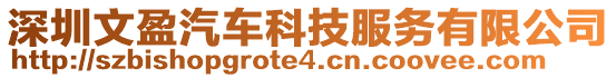 深圳文盈汽車科技服務有限公司