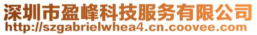 深圳市盈峰科技服務有限公司