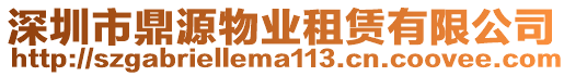 深圳市鼎源物業(yè)租賃有限公司
