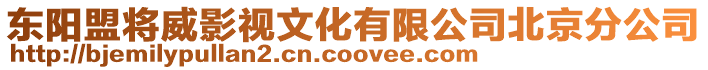 東陽盟將威影視文化有限公司北京分公司