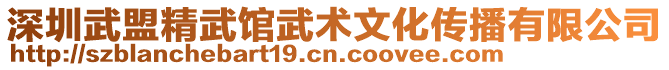 深圳武盟精武館武術(shù)文化傳播有限公司
