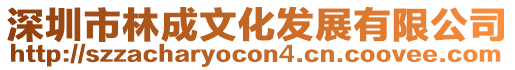 深圳市林成文化發(fā)展有限公司