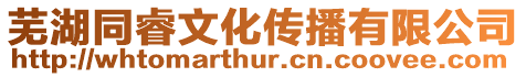 蕪湖同睿文化傳播有限公司