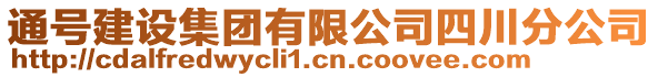 通號建設集團有限公司四川分公司
