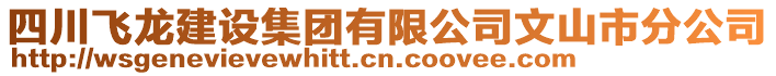 四川飛龍建設集團有限公司文山市分公司