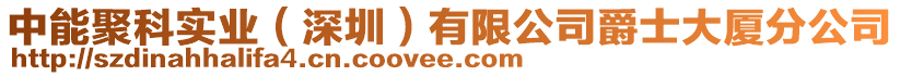 中能聚科實業(yè)（深圳）有限公司爵士大廈分公司