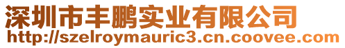 深圳市豐鵬實業有限公司