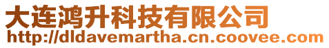 大連鴻升科技有限公司