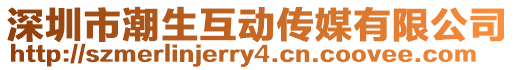 深圳市潮生互動傳媒有限公司