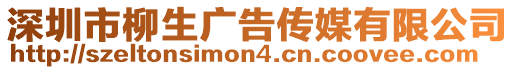 深圳市柳生廣告傳媒有限公司