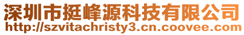 深圳市挺峰源科技有限公司