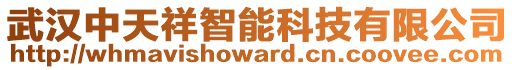 武漢中天祥智能科技有限公司