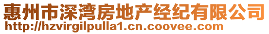 惠州市深灣房地產經紀有限公司