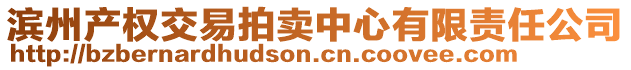 濱州產權交易拍賣中心有限責任公司