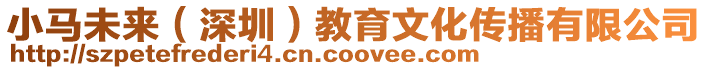 小馬未來(深圳)教育文化傳播有限公司