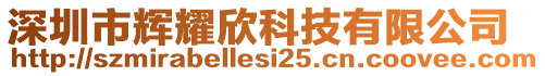 深圳市輝耀欣科技有限公司