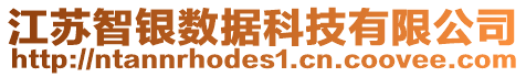 江蘇智銀數據科技有限公司