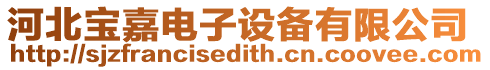 河北寶嘉電子設備有限公司