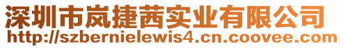 深圳市嵐捷茜實業有限公司