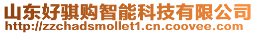 山東好騏購智能科技有限公司